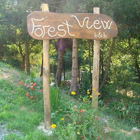 Forest View B&B กาวี ภายนอก รูปภาพ