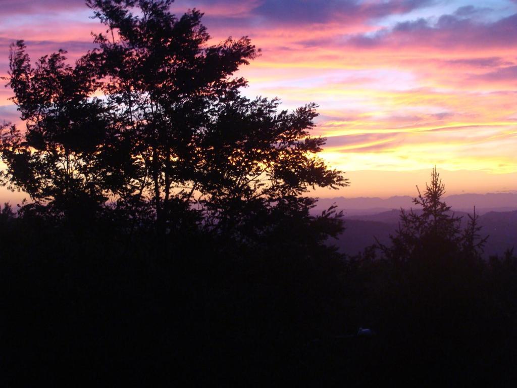Forest View B&B กาวี ภายนอก รูปภาพ